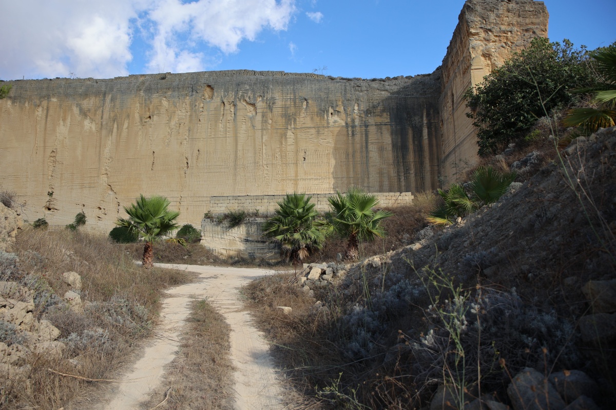 Orario visite